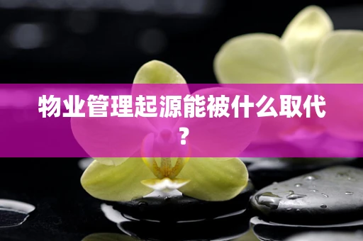 物业管理起源能被什么取代？