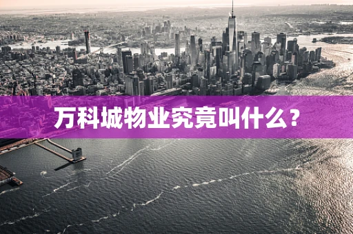 万科城物业究竟叫什么？