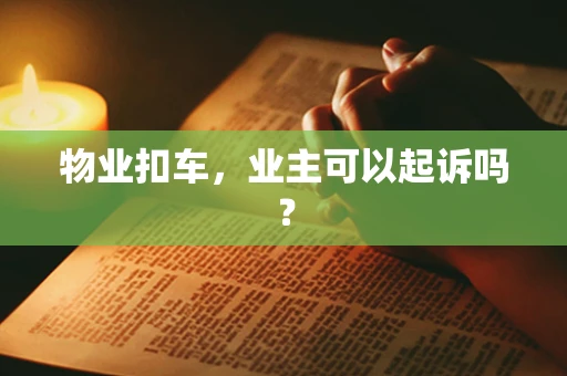 物业扣车，业主可以起诉吗？
