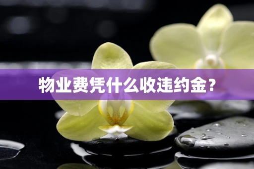 物业费凭什么收违约金？