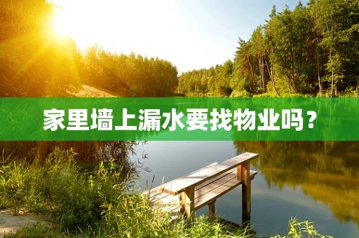 家里墙上漏水要找物业吗？
