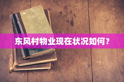 东风村物业现在状况如何？