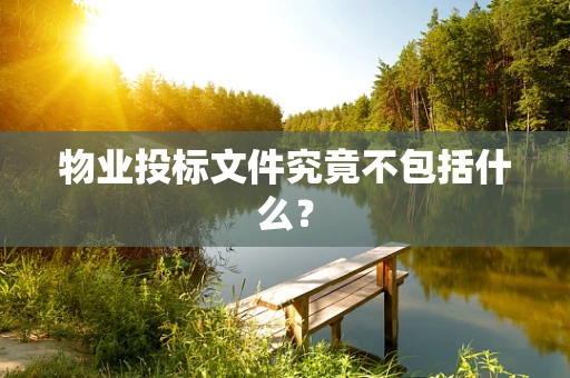 物业投标文件究竟不包括什么？