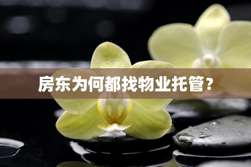 房东为何都找物业托管？