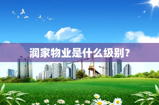 润家物业是什么级别？