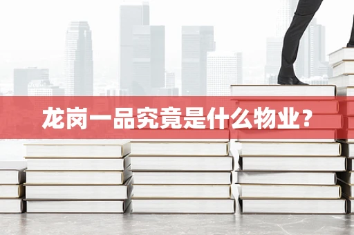 龙岗一品究竟是什么物业？