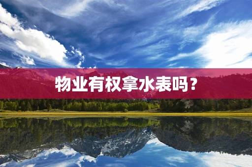 物业有权拿水表吗？