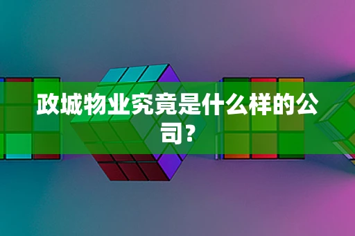 政城物业究竟是什么样的公司？
