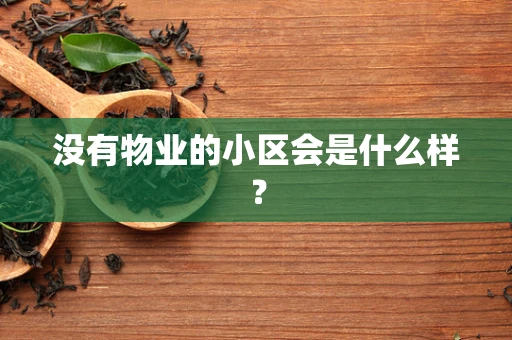 没有物业的小区会是什么样？