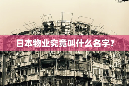 日本物业究竟叫什么名字？