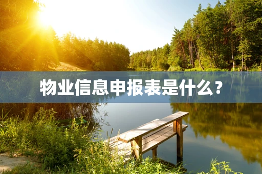 物业信息申报表是什么？