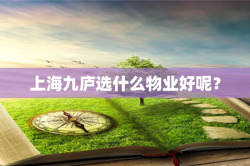 上海九庐选什么物业好呢？