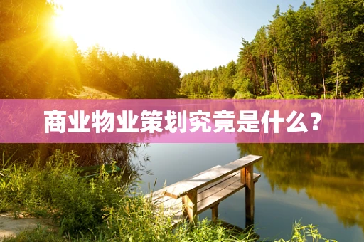 商业物业策划究竟是什么？