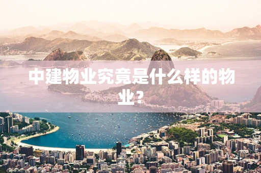 中建物业究竟是什么样的物业？