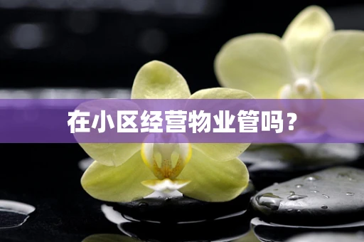在小区经营物业管吗？