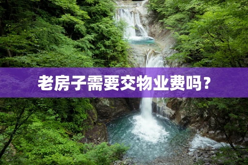 老房子需要交物业费吗？