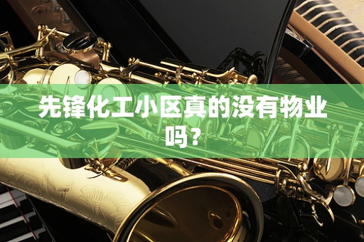 先锋化工小区真的没有物业吗？