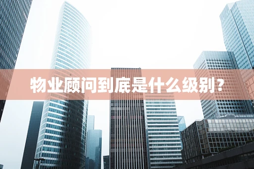 物业顾问到底是什么级别？