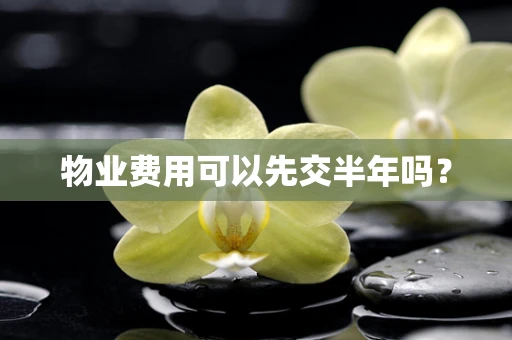物业费用可以先交半年吗？