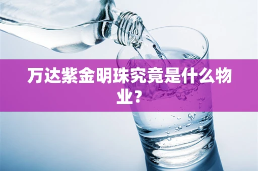 万达紫金明珠究竟是什么物业？
