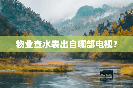 物业查水表出自哪部电视？
