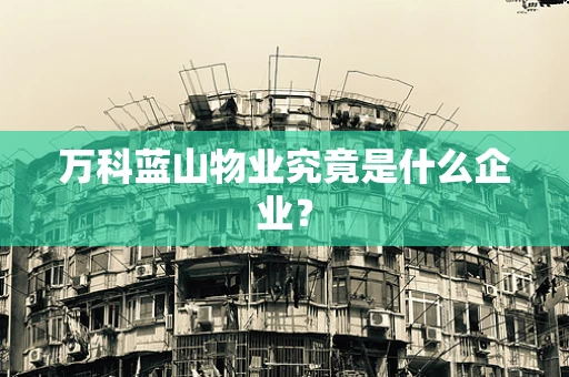 万科蓝山物业究竟是什么企业？