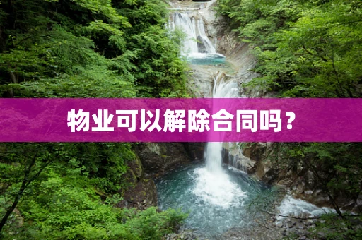 物业可以解除合同吗？