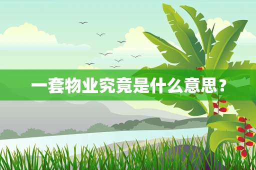 一套物业究竟是什么意思？