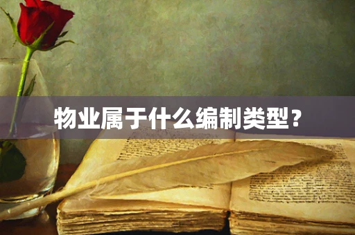 物业属于什么编制类型？