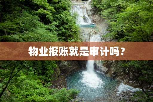 物业报账就是审计吗？