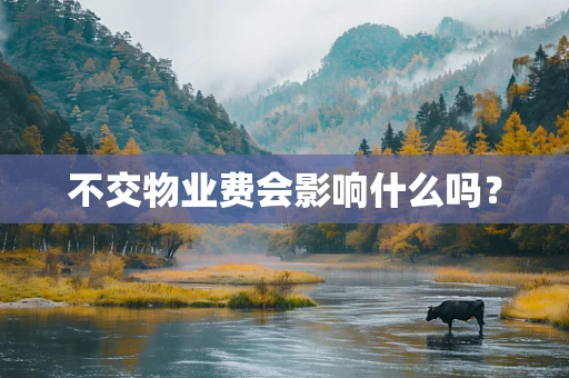 不交物业费会影响什么吗？