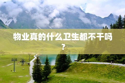 物业真的什么卫生都不干吗？