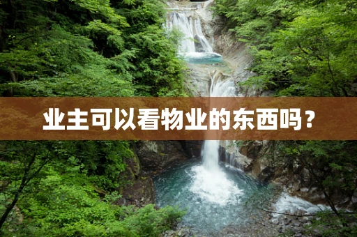 业主可以看物业的东西吗？