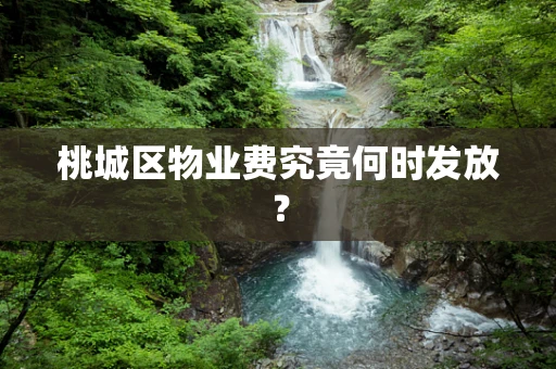 桃城区物业费究竟何时发放？