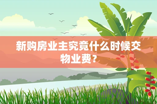 新购房业主究竟什么时候交物业费？