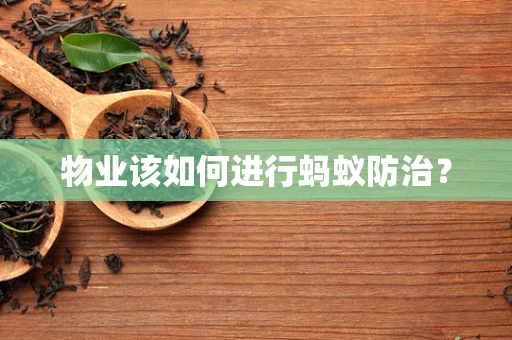 物业该如何进行蚂蚁防治？
