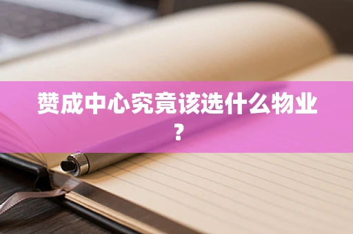 赞成中心究竟该选什么物业？