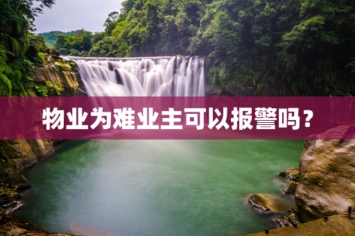 物业为难业主可以报警吗？