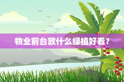 物业前台放什么绿植好看？