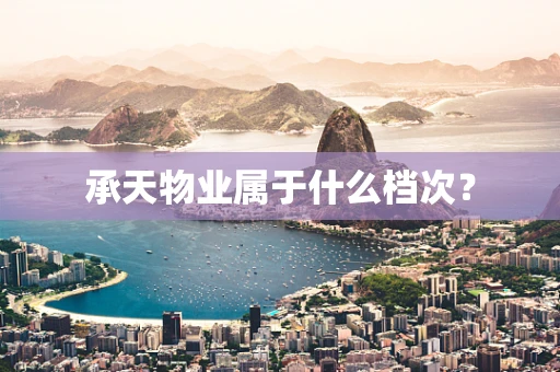 承天物业属于什么档次？