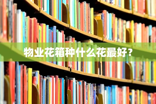 物业花箱种什么花最好？