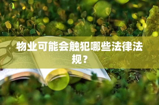 物业可能会触犯哪些法律法规？
