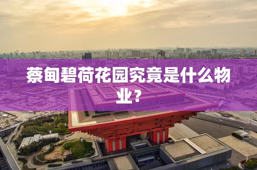 蔡甸碧荷花园究竟是什么物业？