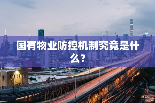 国有物业防控机制究竟是什么？