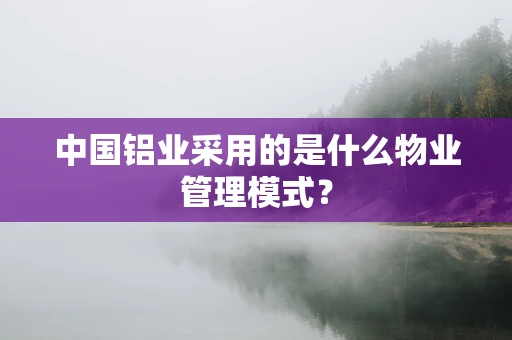 中国铝业采用的是什么物业管理模式？
