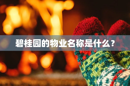 碧桂园的物业名称是什么？