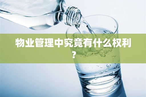 物业管理中究竟有什么权利？