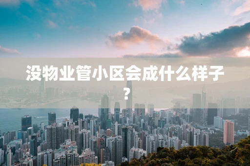没物业管小区会成什么样子？