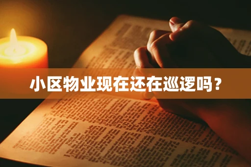 小区物业现在还在巡逻吗？