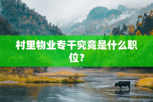 村里物业专干究竟是什么职位？